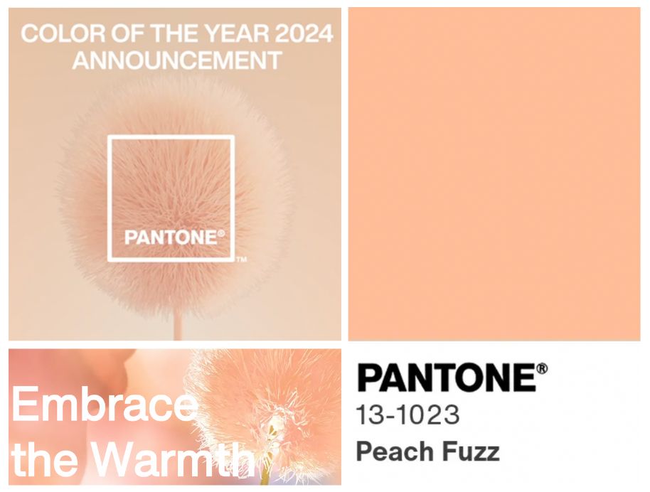 Pantone colour of 2024 Peach Fuzz
